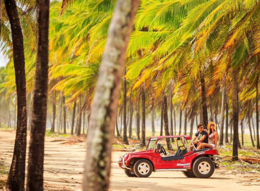 passeio de buggy em porto de galinhas