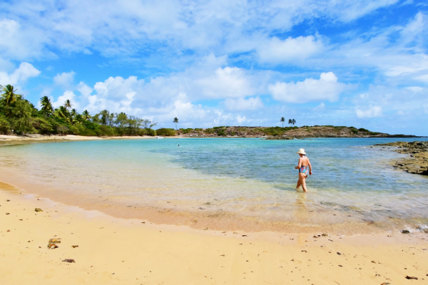 Ilha-de-Santo-Aleixo-2