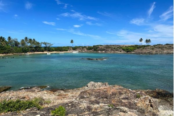 Ilha-de-Santo-Aleixo-3