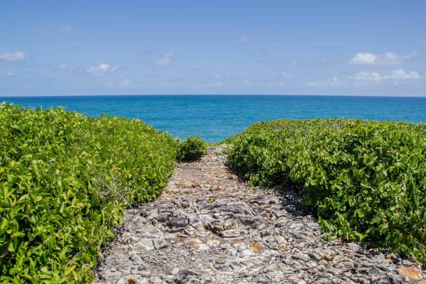 ilha-de-santo-aleixo-passeios-porto-de-galinhas